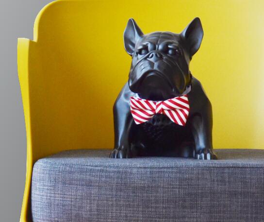 最有灵性的狗狗是什么样的,最有灵性狗狗