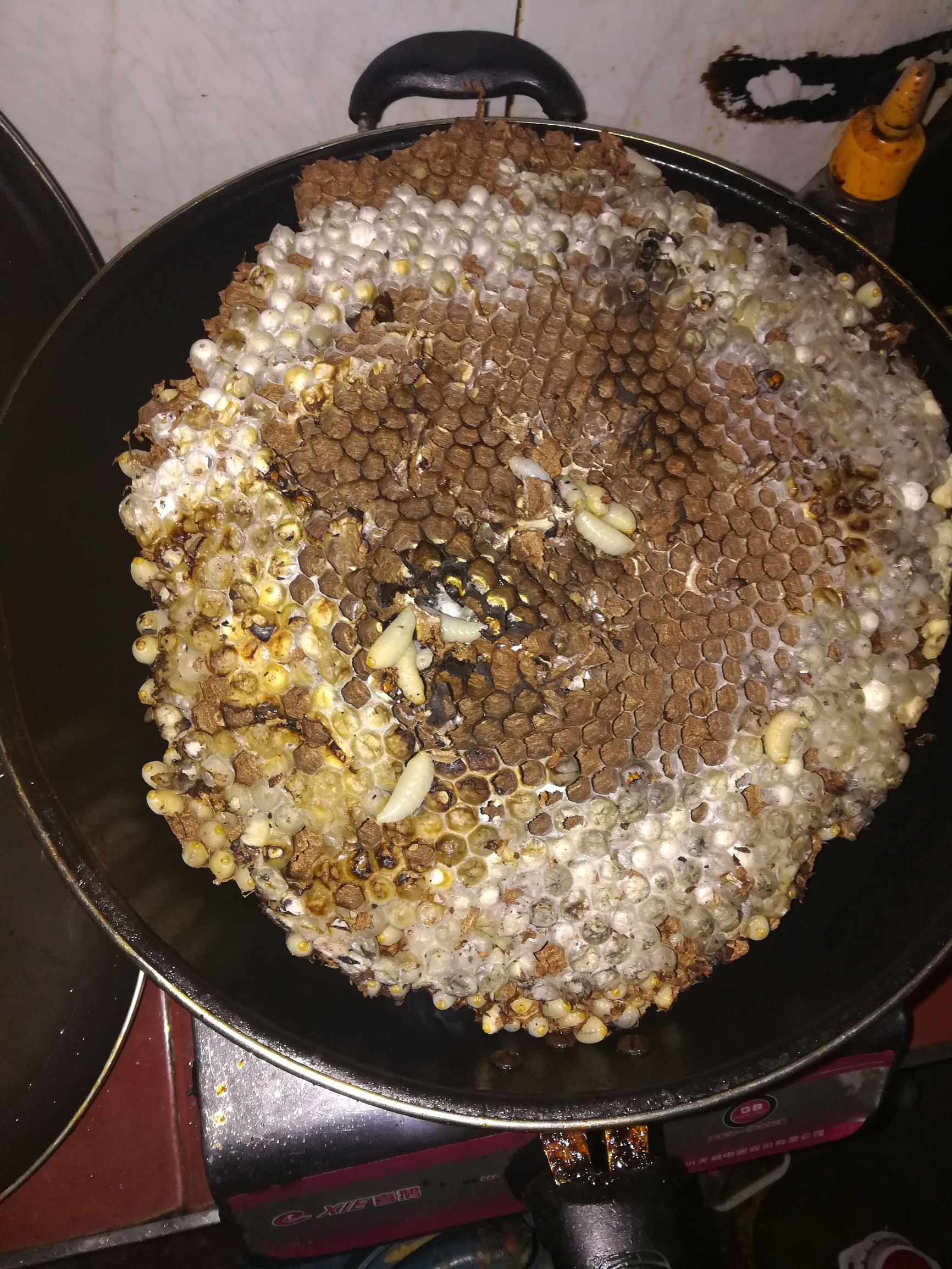 昨晚吃了这个山珍营养过剩睡不着在楼下坐了一个晚上