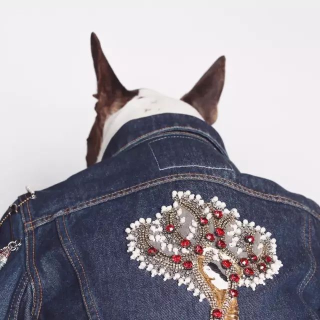 傲娇的老佛爷也要每天看Ta脸色