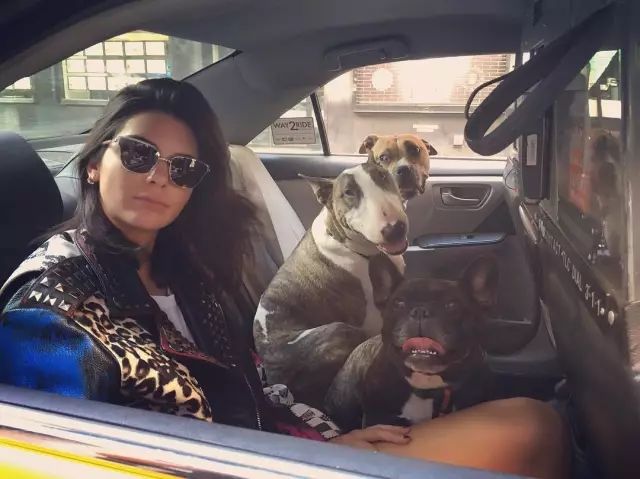 傲娇的老佛爷也要每天看Ta脸色