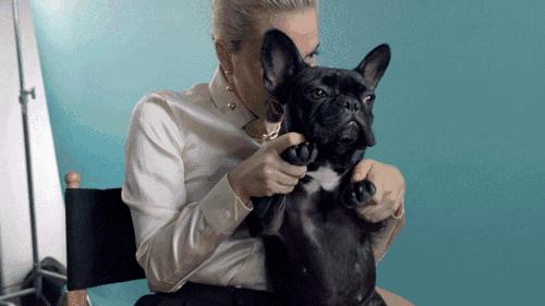 傲娇的老佛爷也要每天看Ta脸色