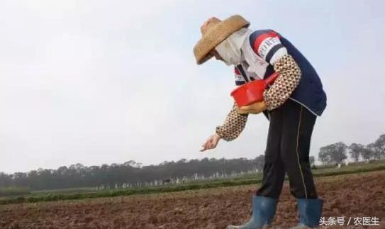 土地流转有没有赚到钱,现在的土地流转到底赚不赚钱