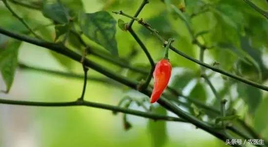 土地流转有没有赚到钱,现在的土地流转到底赚不赚钱