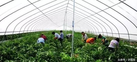 土地流转有没有赚到钱,现在的土地流转到底赚不赚钱