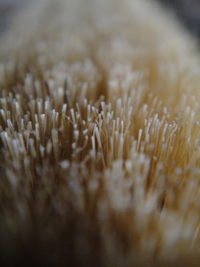 真皮球鞋怎么清洁,刷球鞋用什么清洁