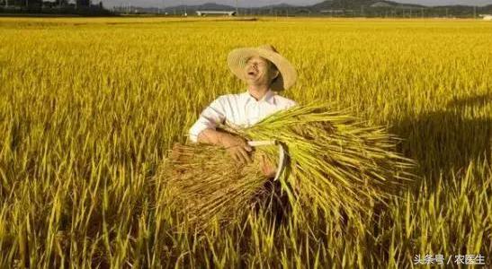 土地流转有没有赚到钱,现在的土地流转到底赚不赚钱