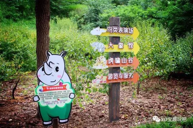 济南野生动物世界一日游自驾,济南野生动物世界一日游攻略