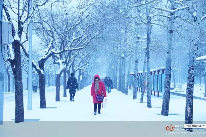 小马过河的故事在线听,《小马过河》这个故事告诉我们