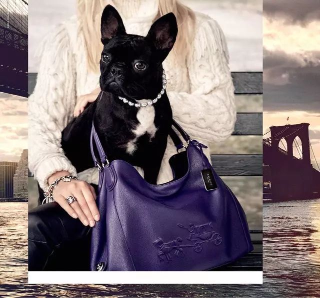 傲娇的老佛爷也要每天看Ta脸色