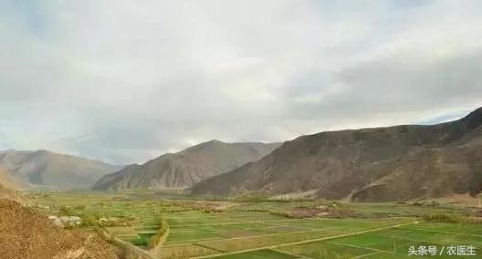 土地流转有没有赚到钱,现在的土地流转到底赚不赚钱