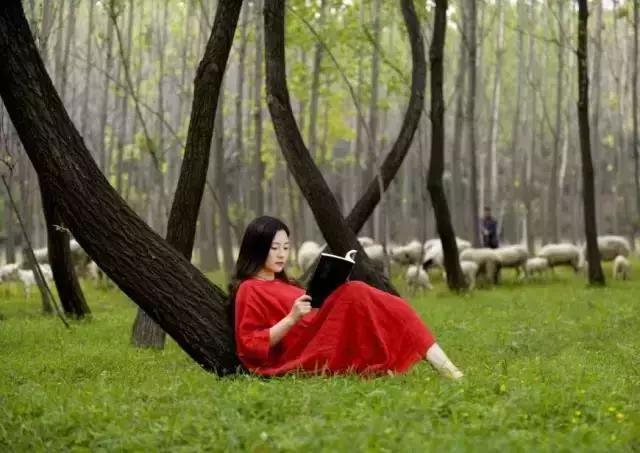 什么？在洞穴赏樱看雪学手艺？看她怎么把废弃洞穴改成浪漫居所