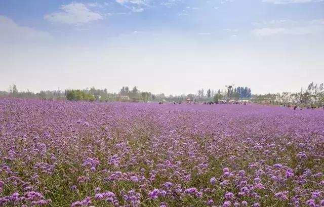 什么？在洞穴赏樱看雪学手艺？看她怎么把废弃洞穴改成浪漫居所