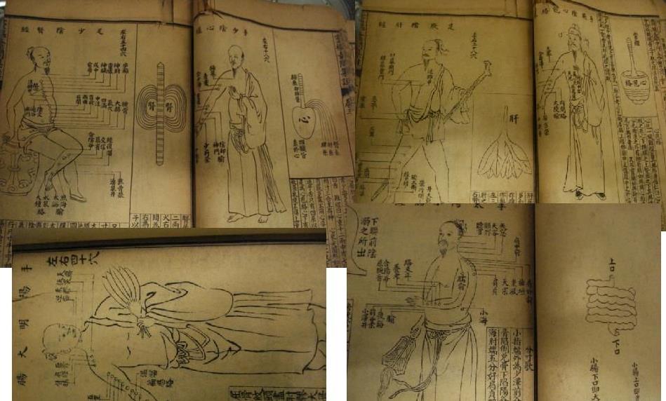 颈椎病的常见分型有哪些,颈椎病常见的分型有哪些