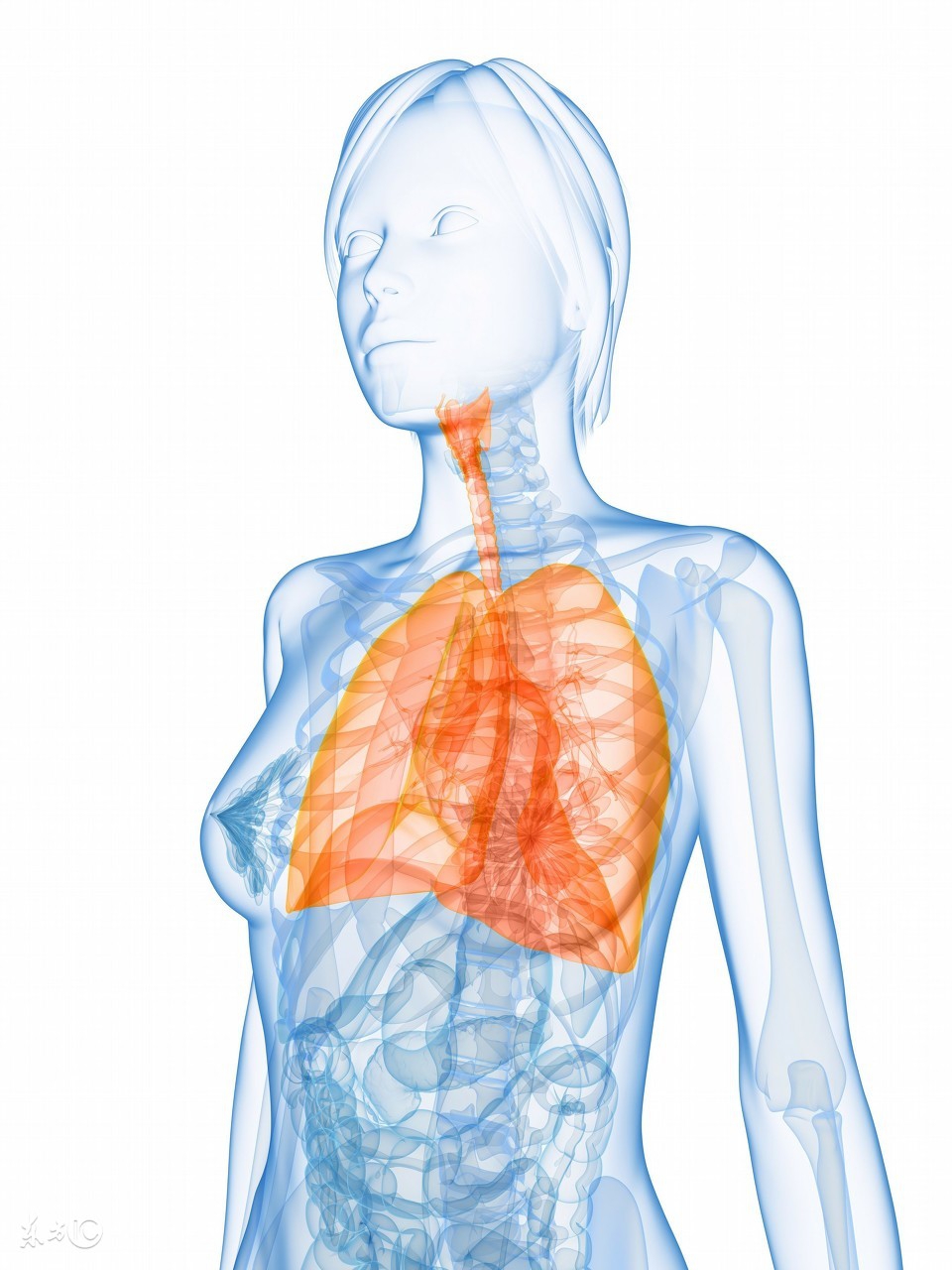 去寒气的最好方法,逼出体内寒气方法