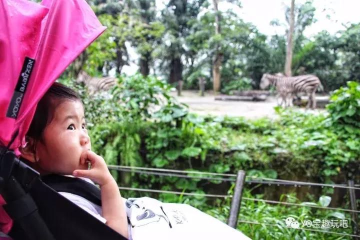 带孩子旅行必备神器,带孩子旅行必带的10件神器