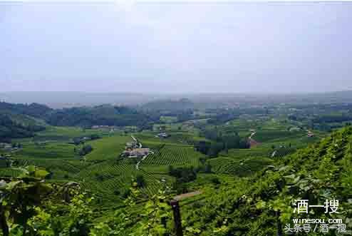 什么是起泡酒定义,起泡酒是属于什么酒