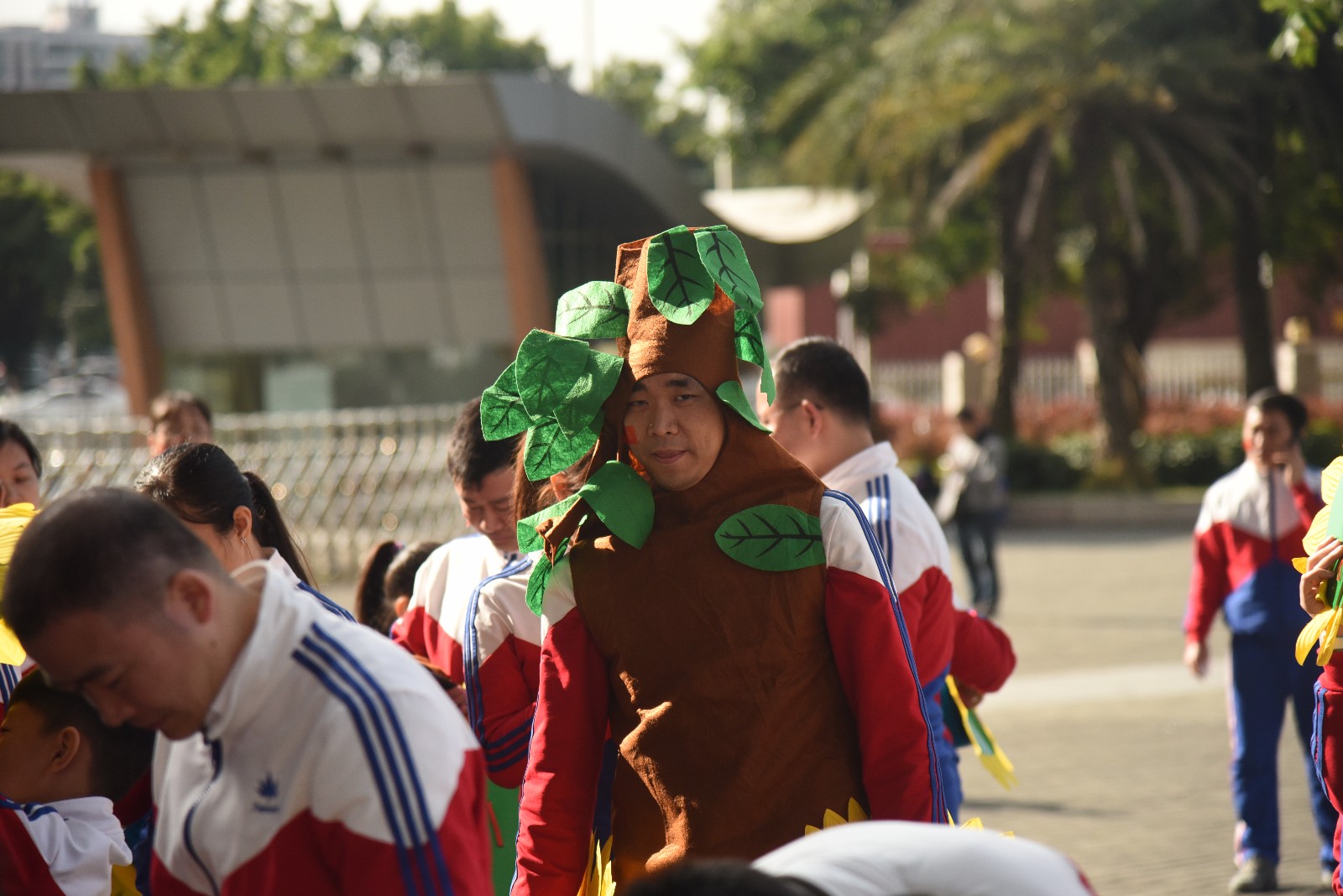 天河｜龙口西小*运学**动会：和平鸽、汉服、管乐队、拉丁舞团……