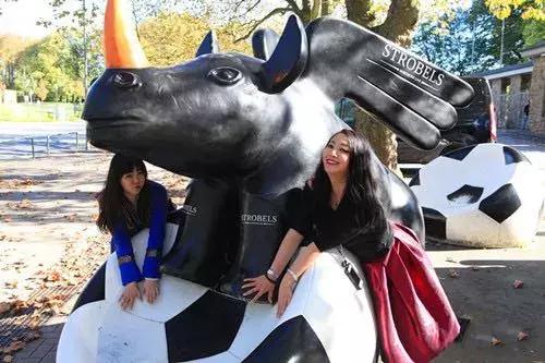 签证办理流程和费用2021,办签证为什么要有10万块钱