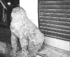 最难得一见的老北京,带你看遍世界上真正的老北京