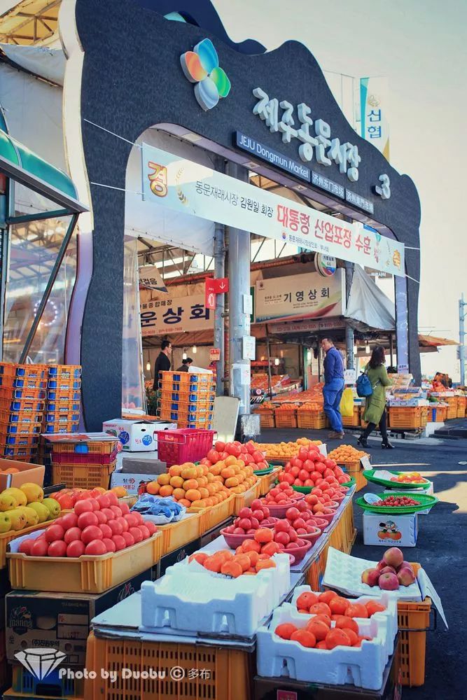 济州岛小众宝藏,世界城市寻宝记济州岛