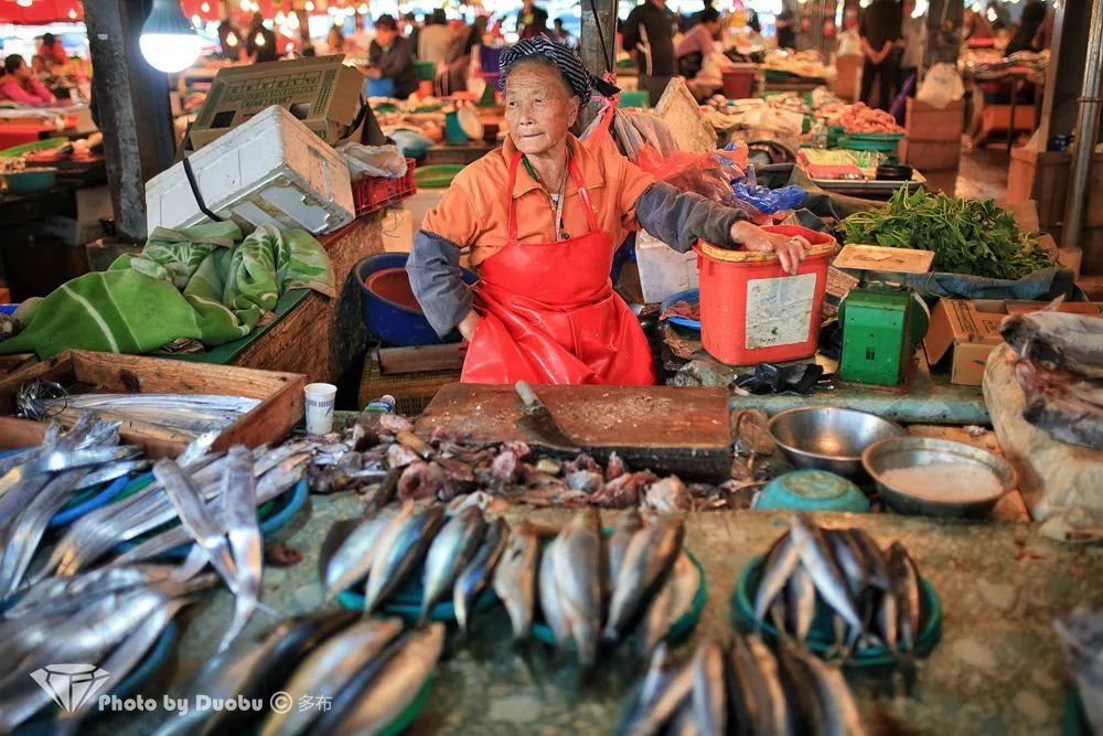 济州岛小众宝藏,世界城市寻宝记济州岛
