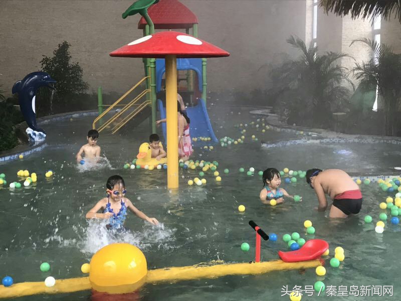 河北省秦皇岛市围棋比赛,秦皇岛围棋比赛2023年