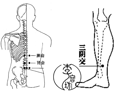 肝脾阳虚的症状有哪些,肝脾阳虚的症状与表现图片