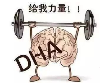 爸妈干货||为什么早产宝宝要特别关注DHA的摄入？