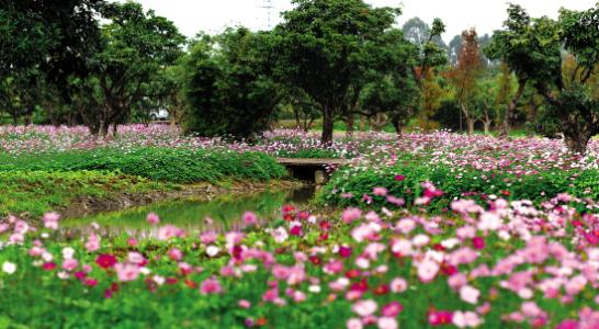 2017财富论坛完整版,2017财富论坛主题