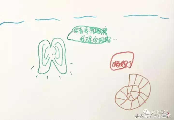 怎样和孩子分享绘本故事,怎样制作绘本3-6岁经典绘本