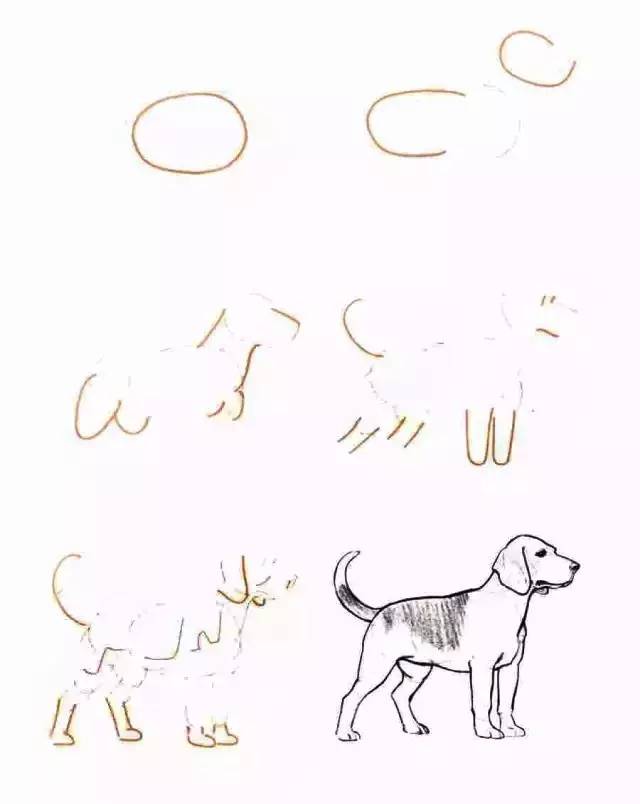 你要的简笔画,你想画的简笔画简单一点