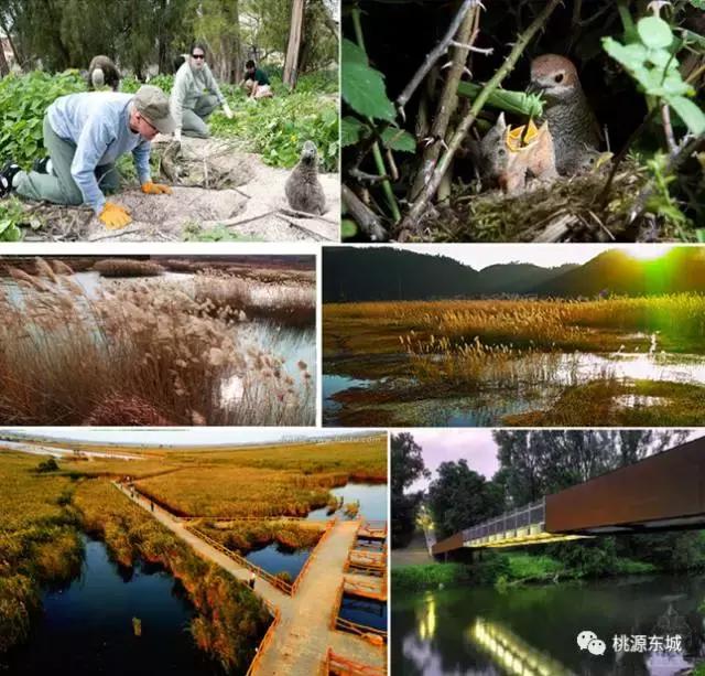 桃源双洲生态公园2020年,桃源双洲公园游乐场新增加设施