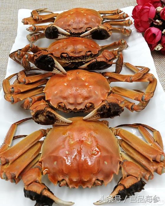 大闸蟹活蟹清蒸,蟹的家常做法大闸蟹清蒸