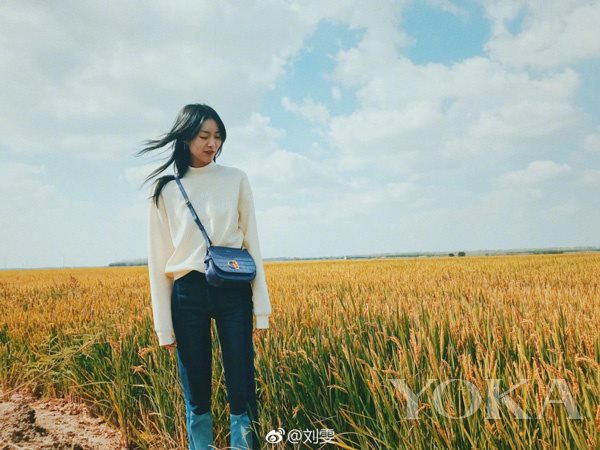 穿衣top,2017穿搭排行