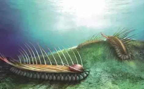 早安新闻来了怎么下载,早安新闻最新