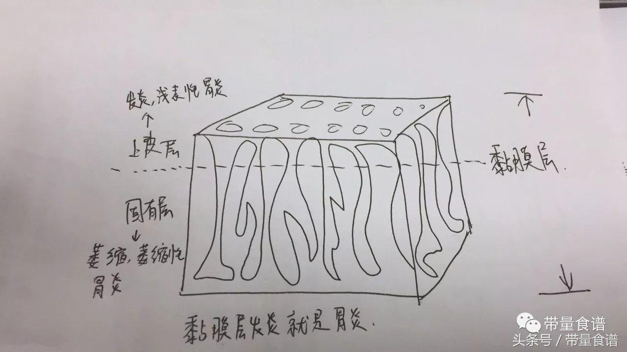 浅表性胃炎饮食表,有浅表性胃炎一日三餐怎么吃