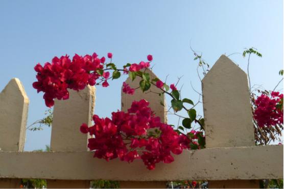 三亚吃喝玩乐亲身攻略——两匹北方的大姑娘吃喝玩乐在三亚