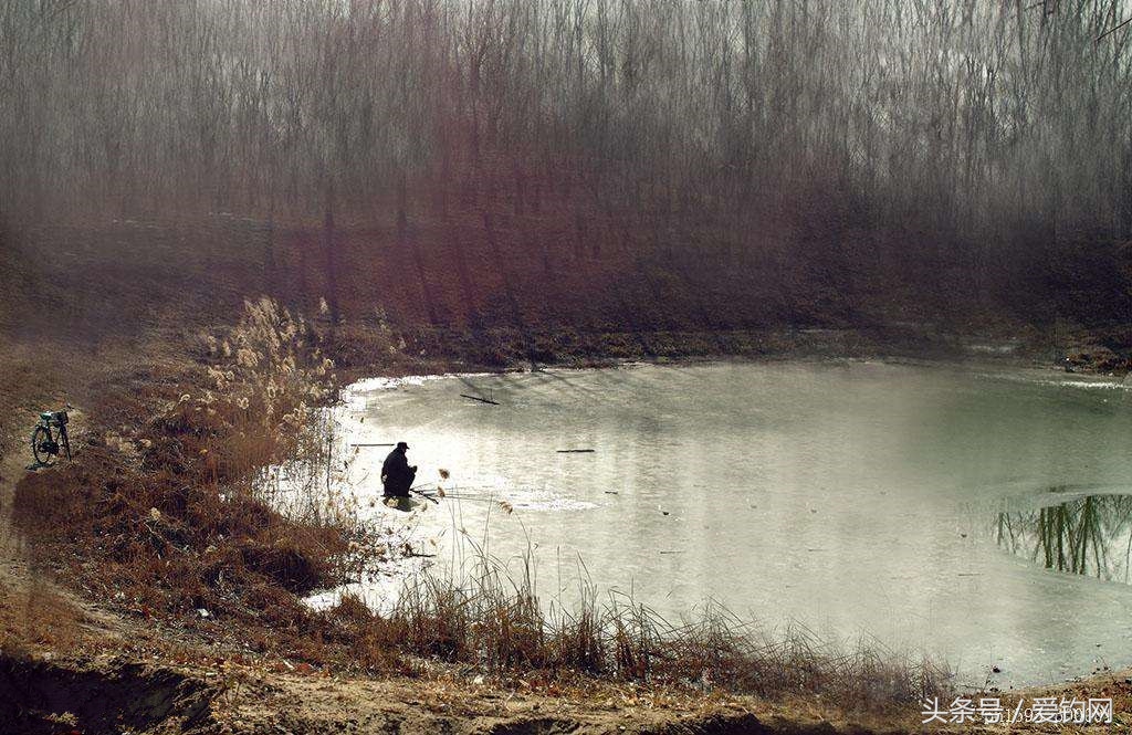 钓鱼老技巧,钓鱼的技巧和经验视频