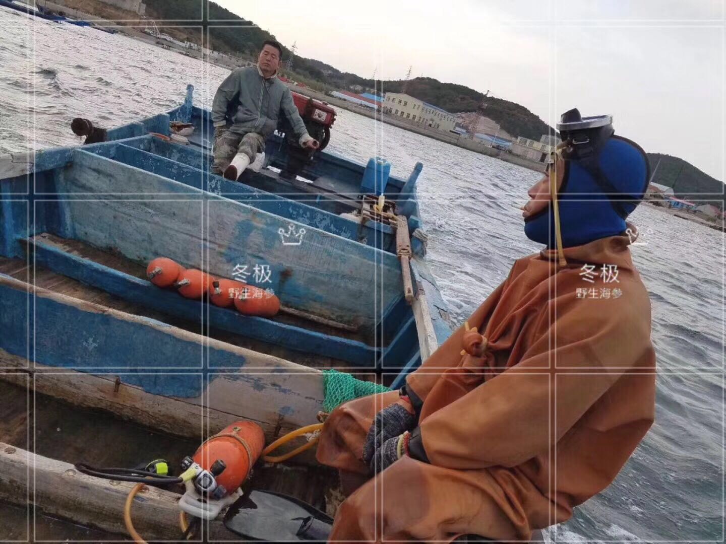 吃海参的好处和功效文案,吃海参的好处的文案