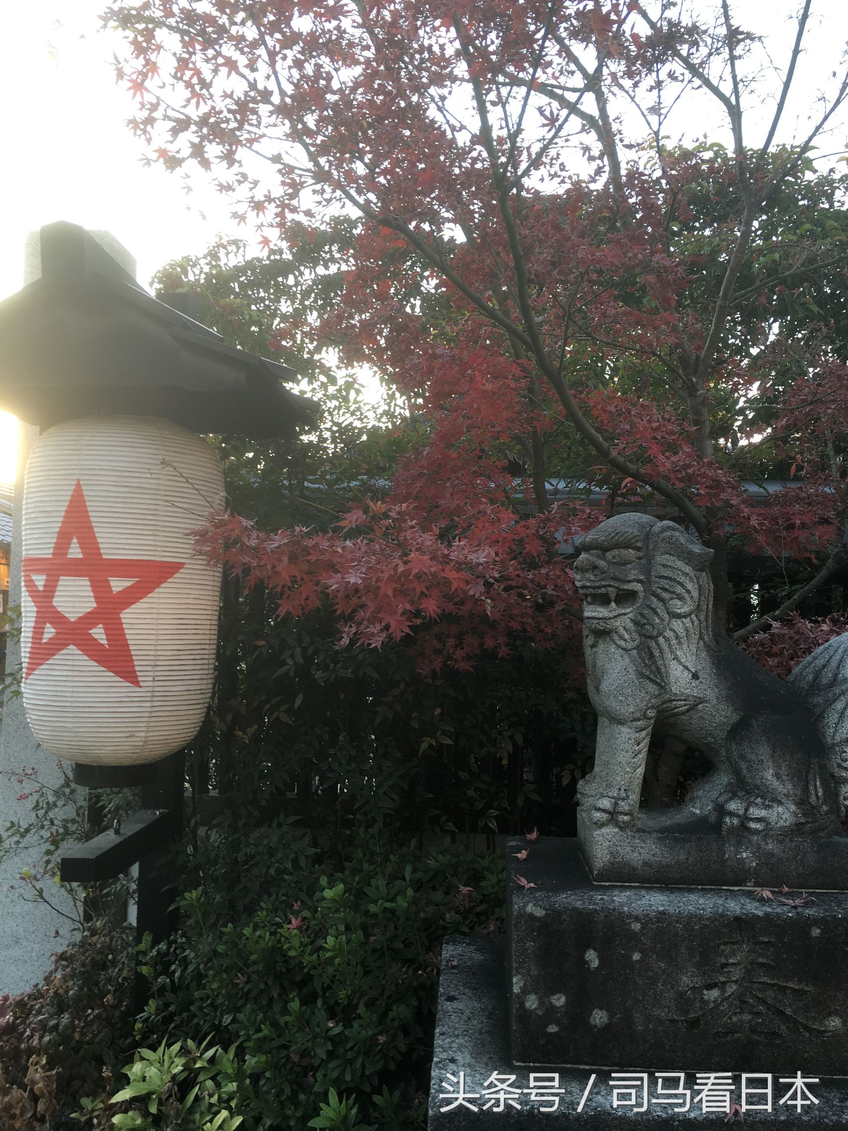 阴阳师中安倍晴明的身份,阴阳师衍生作安倍晴明的现代生活