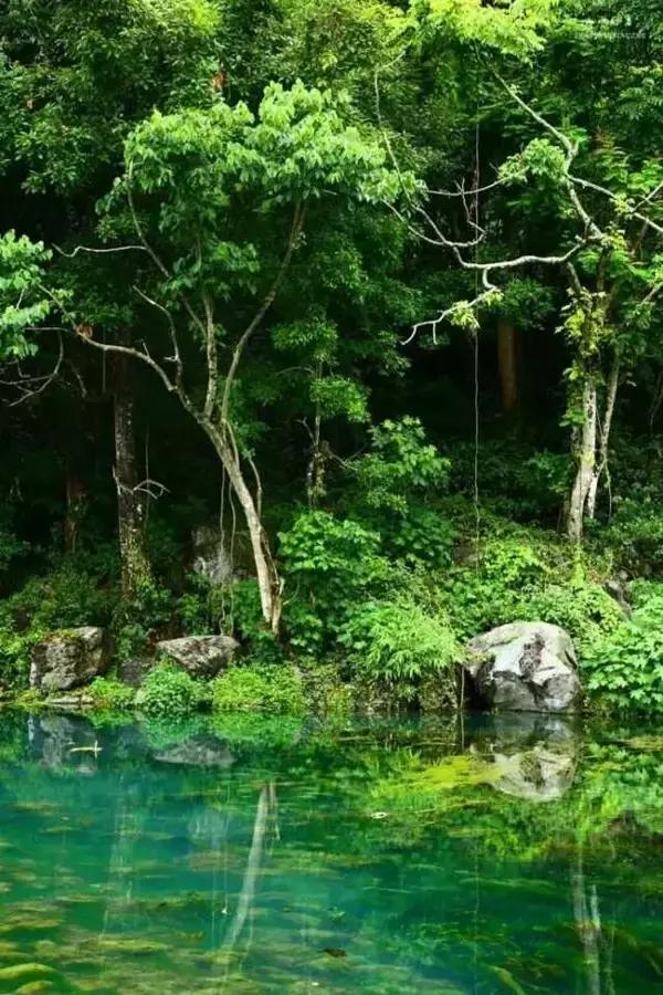 30个历史典故50字,80个文化典故了解中华上下五千年