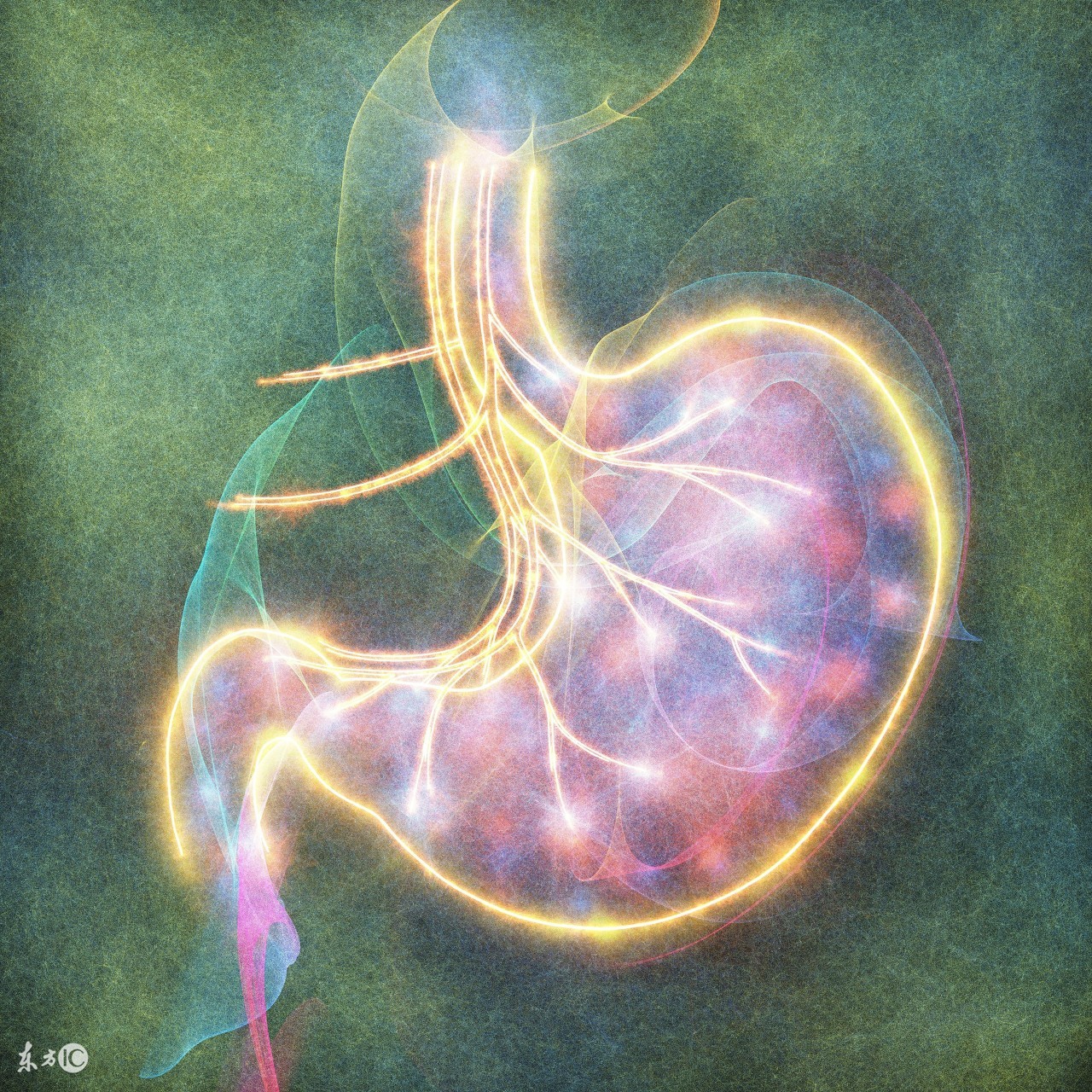 胃痛主要是哪些原因造成的,胃痛主要是几种原因导致的