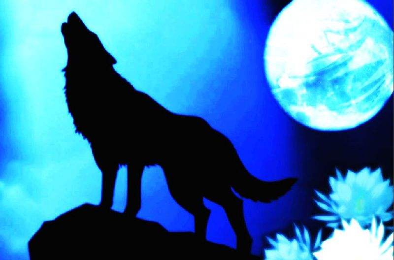 收入和付出不成正比的经典语录,你的付出和收入是成正比的