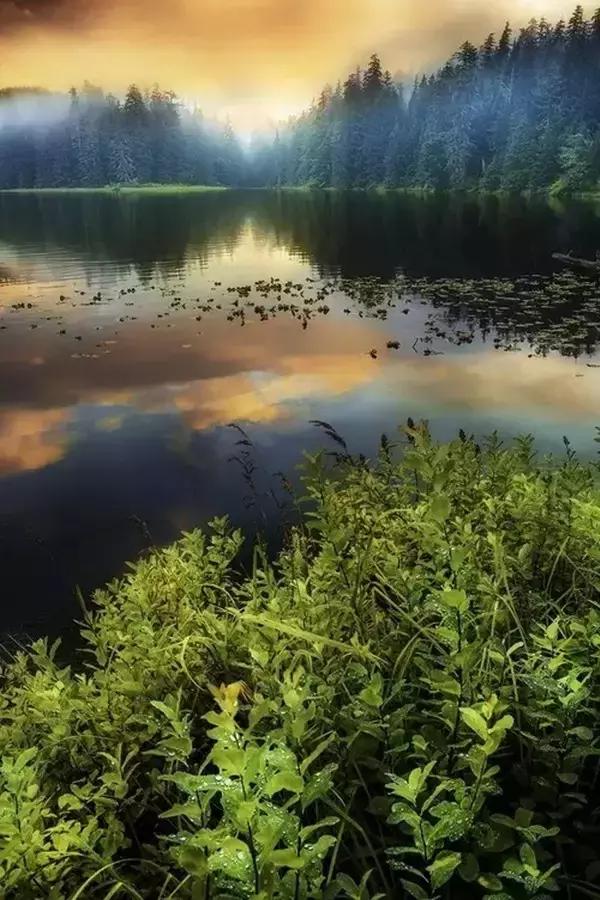 30个历史典故50字,80个文化典故了解中华上下五千年