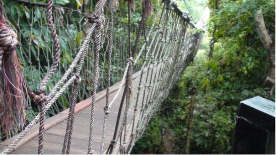 三亚吃喝玩乐亲身攻略——两匹北方的大姑娘吃喝玩乐在三亚