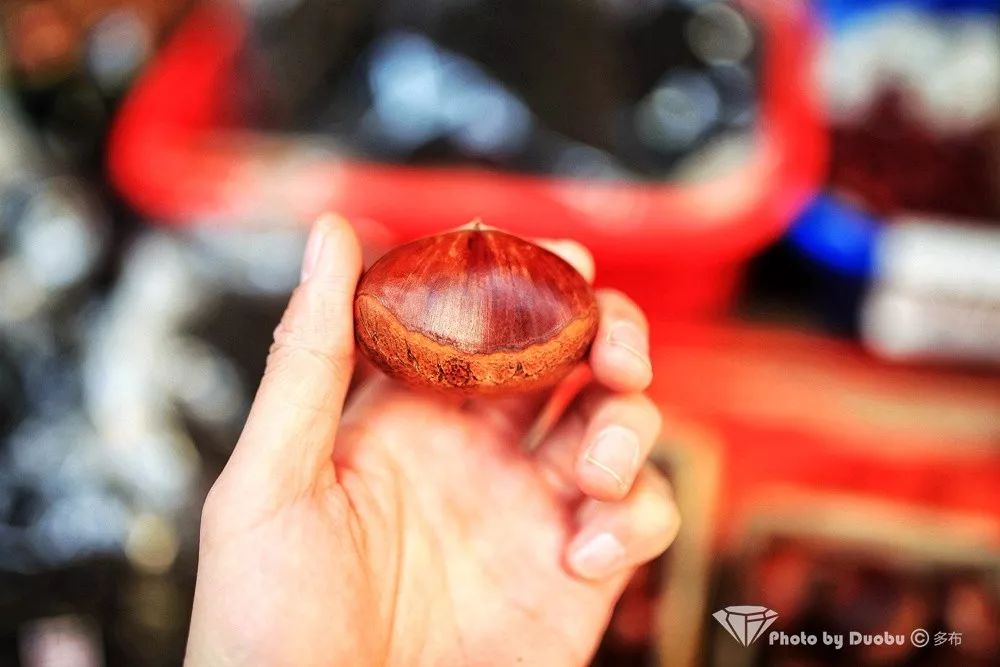 济州岛小众宝藏,世界城市寻宝记济州岛