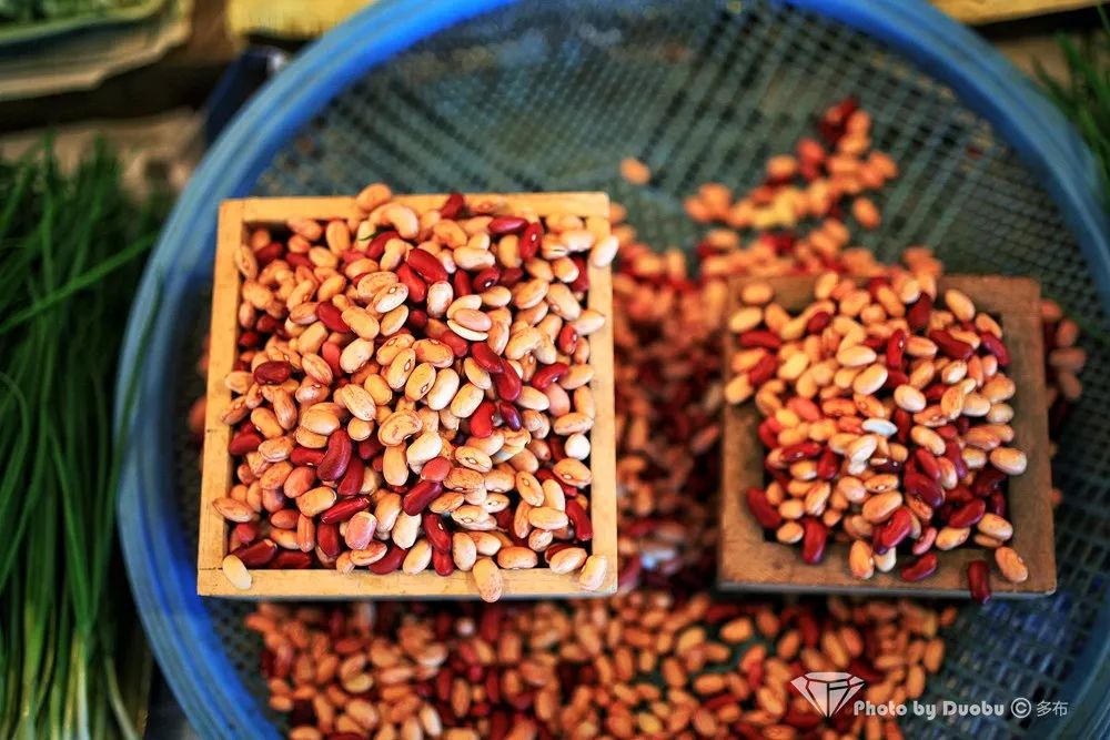 济州岛小众宝藏,世界城市寻宝记济州岛