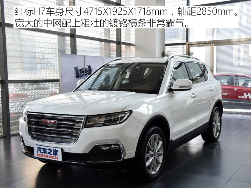 保定车神推荐,保定的车神