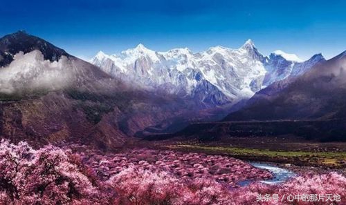 去趟西北旅行需要多少钱,藏西旅游费用