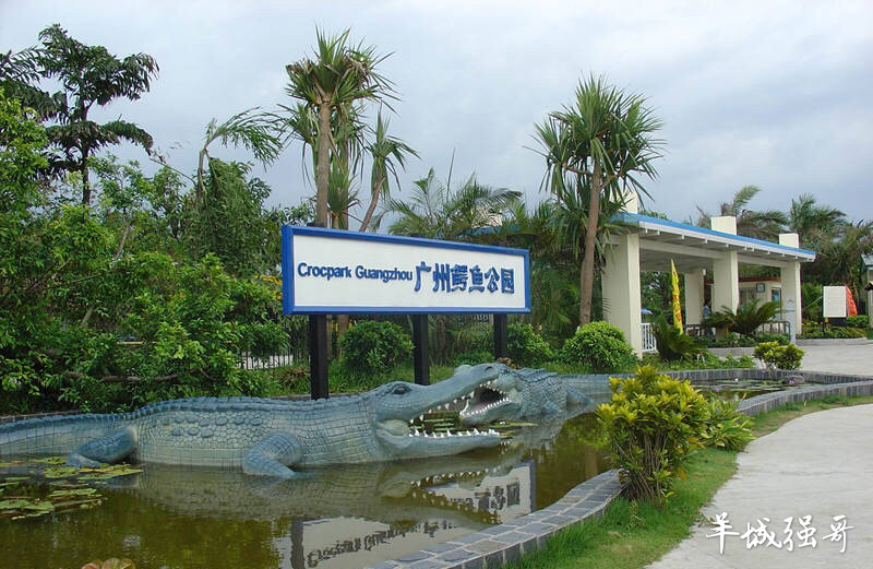鳄鱼湖湿地门票预订,广州鳄鱼公园地图